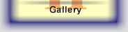 Gallery II